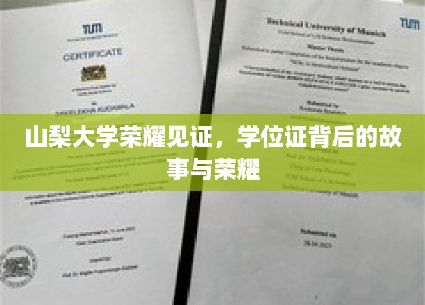 山梨大学荣耀见证，学位证背后的故事与荣耀