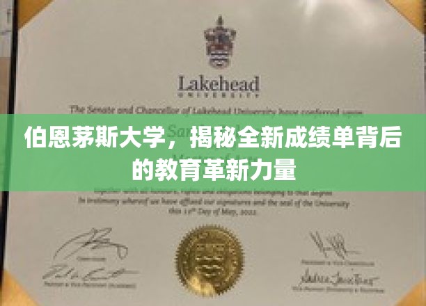 伯恩茅斯大学引领教育革新，创新成绩单展现智慧风采