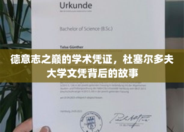 德意志之巅的学术凭证，杜塞尔多夫大学文凭背后的故事