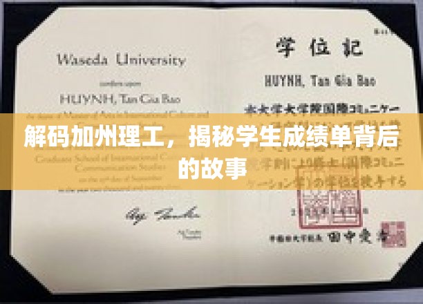 探寻加州理工的学术密码，揭开成绩单背后的精彩篇章