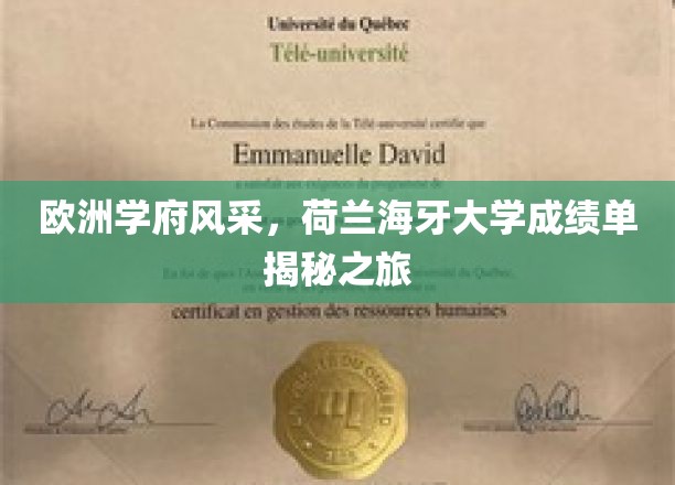欧洲学府风采，荷兰海牙大学成绩单揭秘之旅