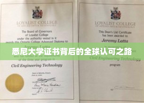 悉尼大学国际认证之旅，证书全球通行背后的奥秘解析