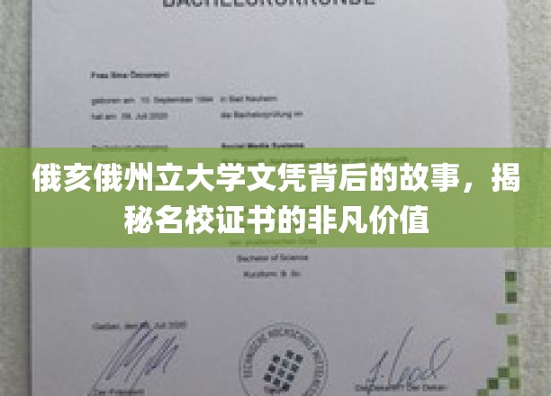 名校光环下的真实，俄亥俄州立大学文凭背后的不凡历程
