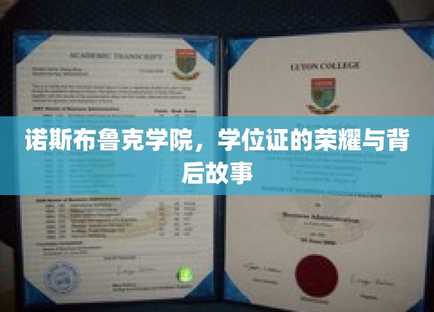 诺斯布鲁克荣耀，学位证背后的传奇篇章