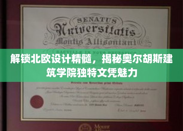 北欧设计之光，揭秘奥尔胡斯建筑学院文凭的独到魅力