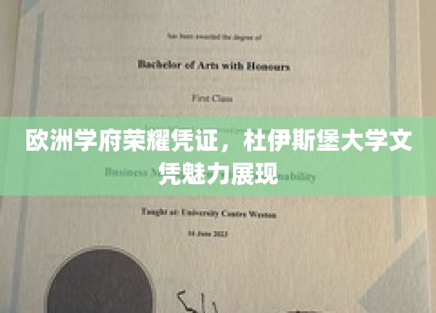 欧洲名校荣耀名片，杜伊斯堡大学文凭独领风骚