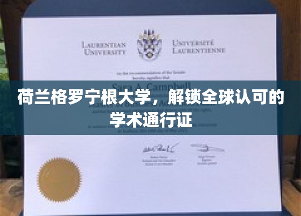 解锁国际学术殿堂，荷兰格罗宁根大学全球通行证之旅