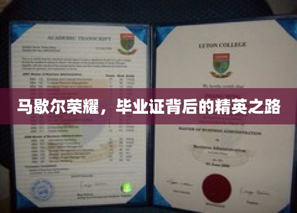 马歇尔荣耀，毕业证背后的精英成长轨迹