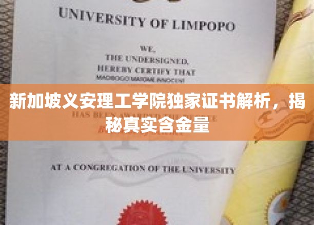 新加坡义安理工学院证书揭秘，深度解析其真实价值与含金量