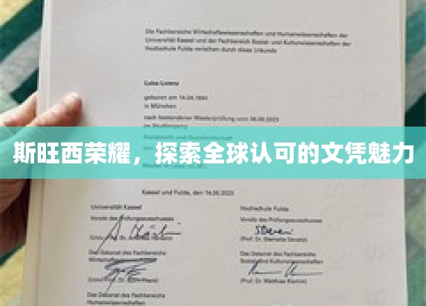 斯旺西荣耀，探寻全球认可的文凭魅力