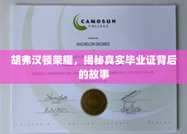 胡弗汉顿荣耀，揭秘真实毕业证背后的故事
