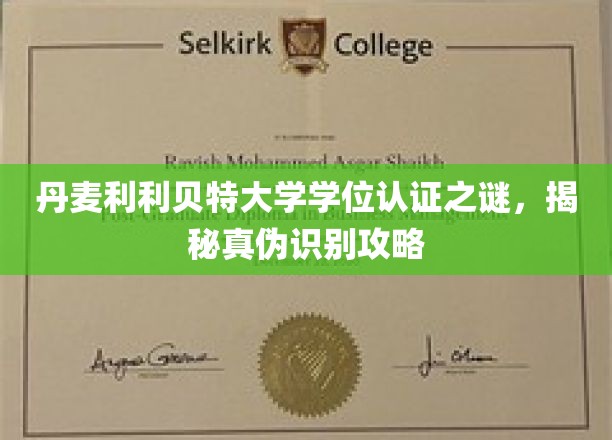 丹麦利利贝特大学学位认证之谜，揭秘真伪识别攻略