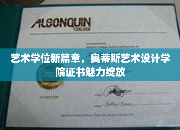 艺术学位新篇章，奥蒂斯艺术设计学院证书魅力绽放