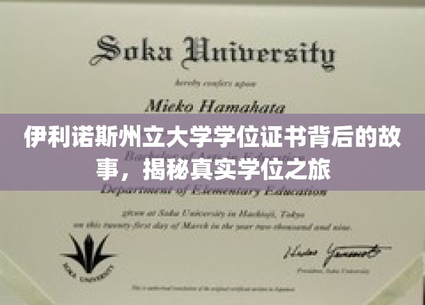 伊利诺斯州立大学学位证背后的传奇，揭秘学术旅程的点点滴滴