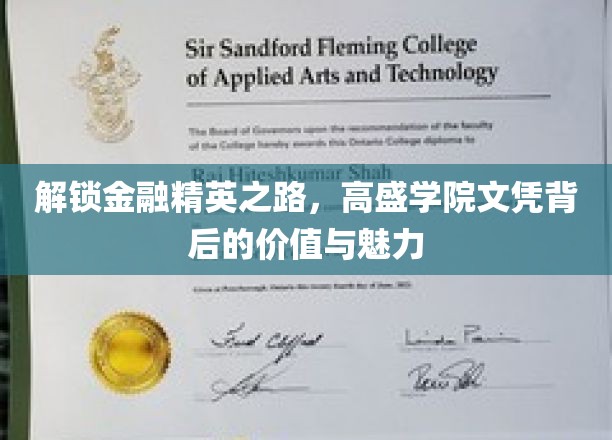金融精英养成记，揭秘高盛学院文凭的非凡影响力