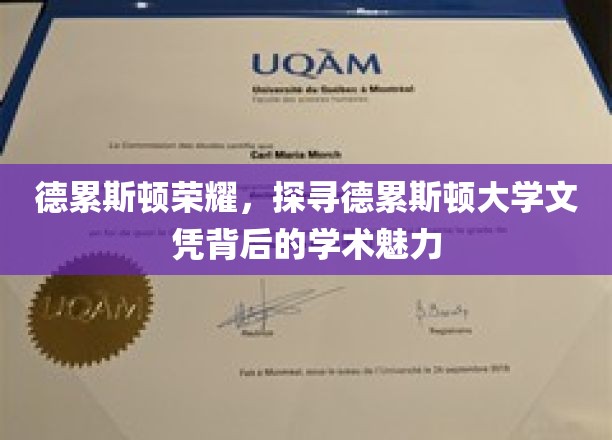 解锁德累斯顿大学，探寻文凭背后的学术传奇光彩