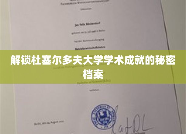 探索杜塞尔多夫大学学术成就的神秘档案