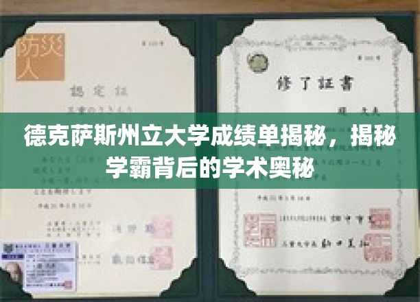 德克萨斯州立大学成绩单揭秘,探秘学霸背后的学术奥秘