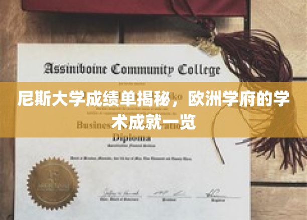 尼斯大学成绩单揭秘，欧洲学府的学术成就一览