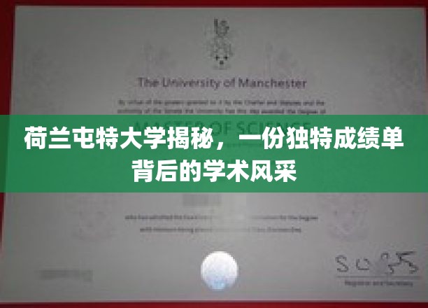 荷兰屯特大学，探索独特成绩单背后的学术魅力