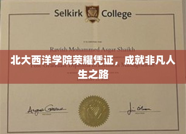北大西洋学院荣耀凭证，成就非凡人生之路