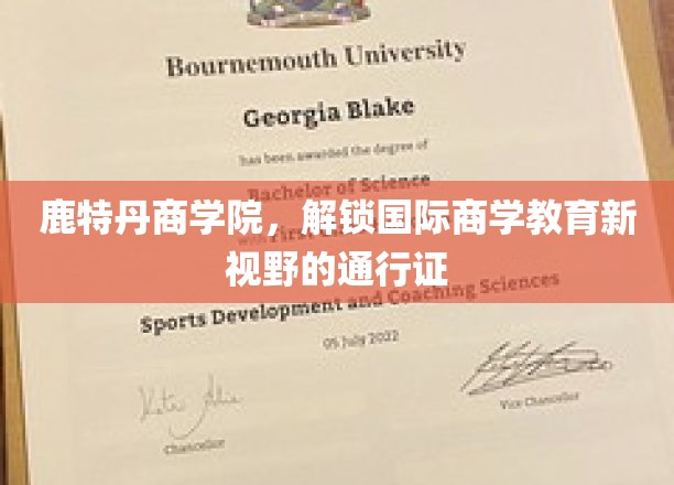 鹿特丹商学院，开启国际商学教育新视野的钥匙
