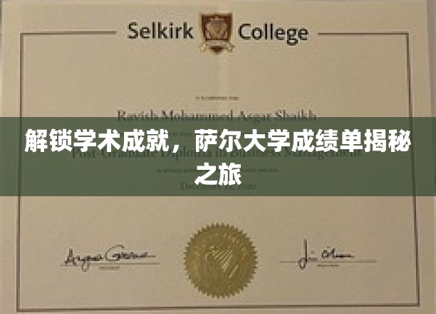 探寻萨尔大学学术奥秘，揭秘成绩单背后的精彩故事