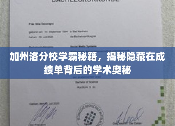 加州洛分校学霸秘籍，揭秘隐藏在成绩单背后的学术奥秘