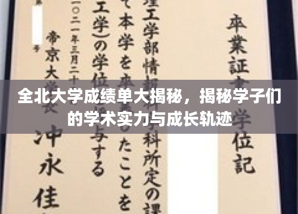 全北大学成绩单大揭秘，揭示学子们的学术实力与成长轨迹