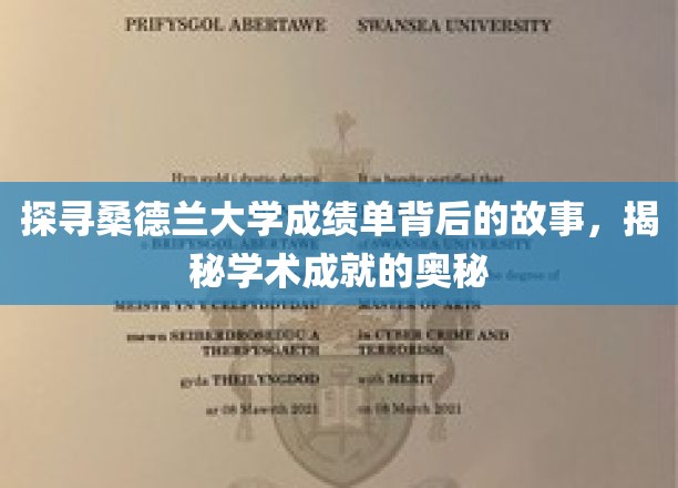 揭开桑德兰大学成绩单的神秘面纱，揭秘学术卓越的秘密源泉