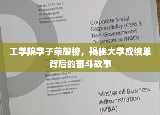 荣耀之路，工学院精英的奋斗轨迹大揭秘