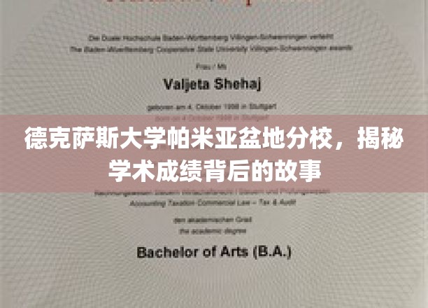 探索德克萨斯大学帕米亚盆地分校，学术成就背后的真实面貌