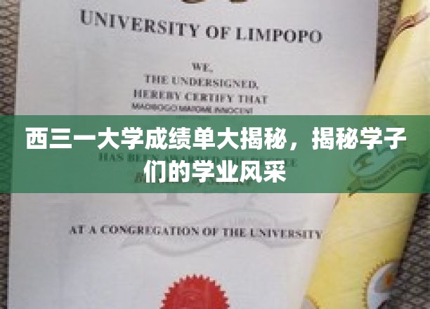西三一大学学子成绩单，展现青春学术风采的秘密档案