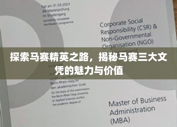 驾驭马赛未来，揭秘三大文凭的精英力量与价值密码