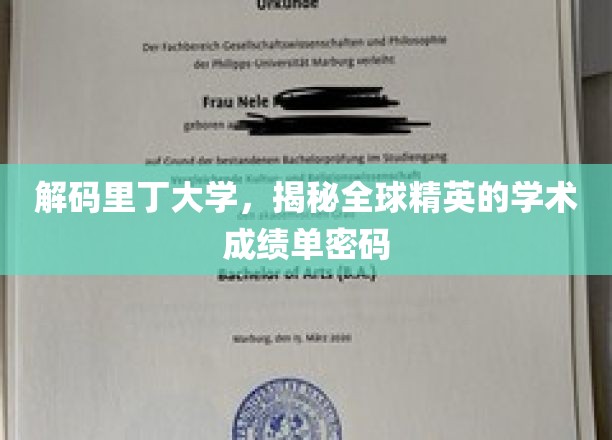 揭开里丁大学精英学霸背后的学术密码