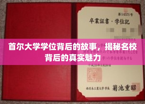 揭开首尔大学学位的神秘面纱，探寻名校魅力背后的故事