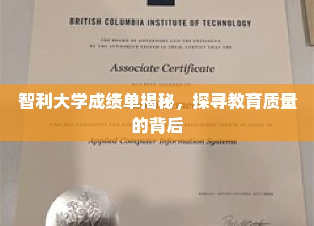 解码智利大学成绩单，一窥教育质量之谜