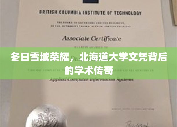 雪域之光，北海道大学学位背后的非凡学术征程