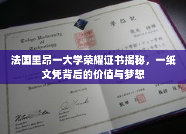 法国里昂一大学荣耀证书揭秘，一纸文凭背后的价值与梦想