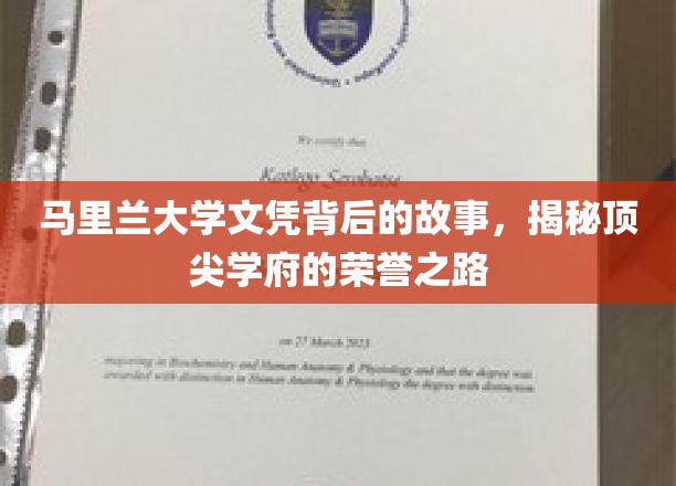 马里兰荣耀，探寻顶尖大学文凭背后的传奇历程