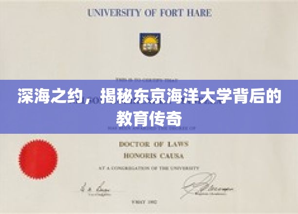 潜入海洋奥秘，探寻东京海洋大学的教育奇迹