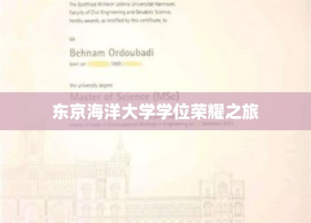 探索海洋巅峰，东京海洋大学荣耀学位之旅