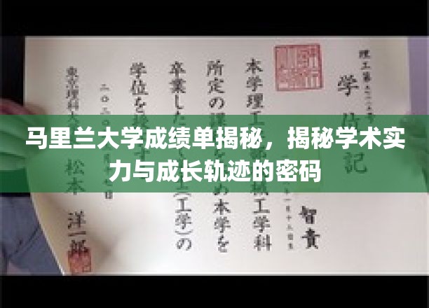 解码马里兰大学，揭秘成绩单背后的学术实力与成长路径