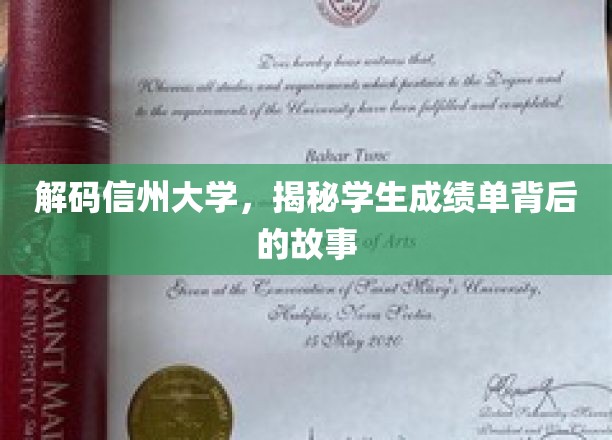 探寻信州大学成绩单背后的秘密，学子们的成长轨迹