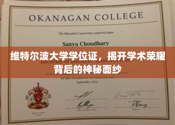 揭秘维特尔波学位证书，探寻学术辉煌背后的秘密之光