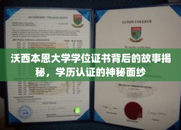 沃西本恩大学学位证之谜，揭开学历认证的神秘面纱背后惊世真相