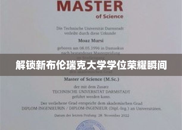 解锁新布伦瑞克大学学位荣耀瞬间