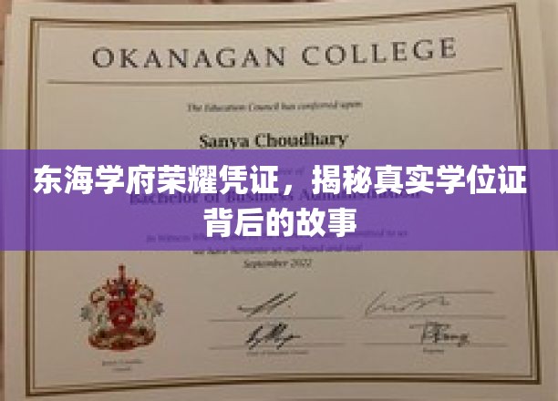东海学府荣耀见证，揭秘学位证背后的传奇之旅