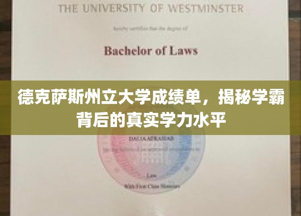 德克萨斯学霸揭秘，真实成绩单背后的学力之谜