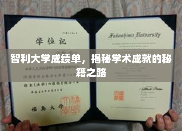 解码智利大学卓越成绩背后的学术奥秘